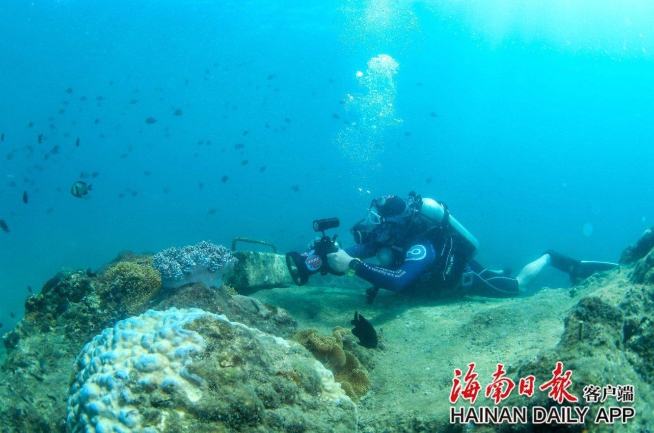 小伙子午后弹吉他邀请妈妈唱歌，妈妈边扫地边唱《向云端》